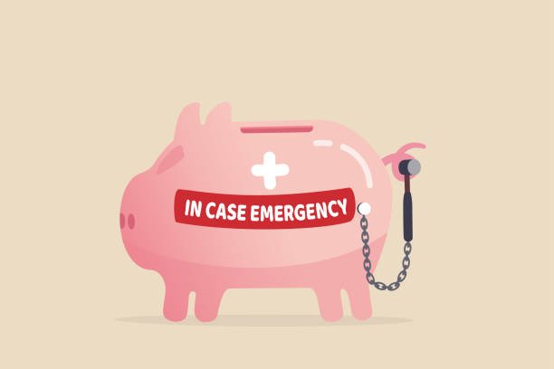 Piggy Bank Emergency Fund